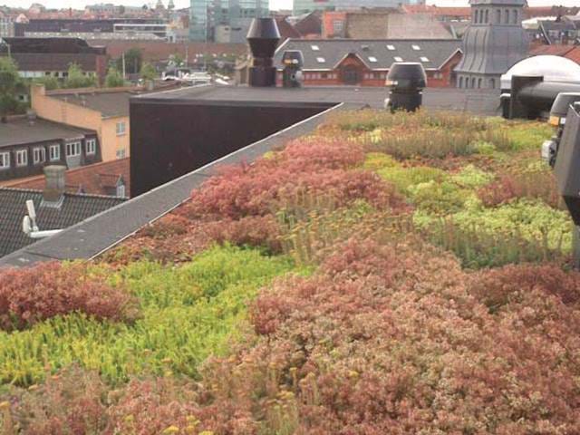 Let Vext Intensiv 900X900 Let Vext Intensiv 900X900